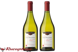 Rượu vang trắng Chile  La Palmal Reserve