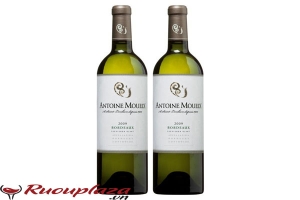 Rượu vang Pháp Bordeaux Antoine Moueix Nồng độ 12%