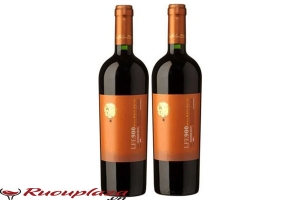 Rượu vang Chile Luis Edwards LEF900 Malbec