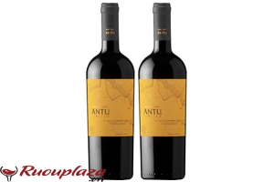 Rượu vang Chile MontGras Antu Limited Cabernet Franc